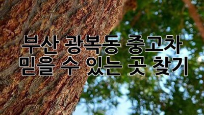 부산 광복동 중고차, 믿을 수 있는 곳 찾기