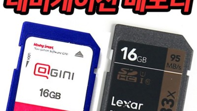 놓치면 손해! 파인드라이브 업데이트 꿀팁 대방출 🍯
