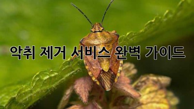 악취 제거 서비스 완벽 가이드